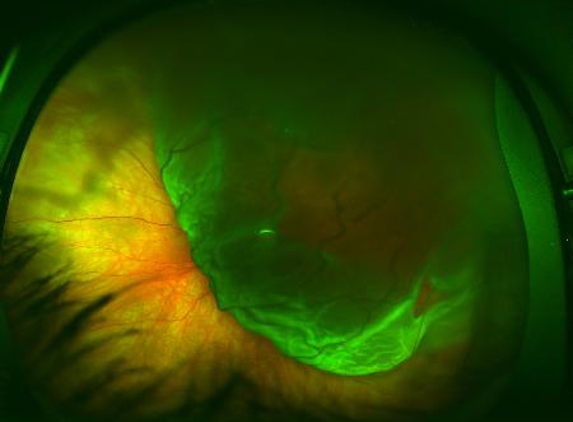 Sydney Retina - Sydney, NSW