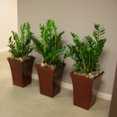 Pacific Interior Plants - Plants-Interior Design & Maintenance