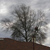 Gallery Image Number 1
