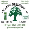 Gillaspie Tree Service gallery