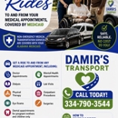 Damir's Transport