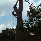 Dutchs Tree Service