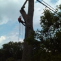 Dutchs Tree Service