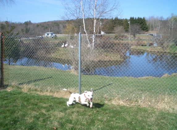 Silver Streak Kennels - Morris, NY