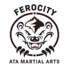 Ferocity ATA Martial Arts gallery