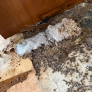 Wisco Restoration - Fire & Water Damage Restoration