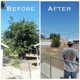 Gutierrez Tree Service