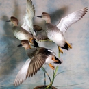 Whistling Wings Avian Taxidermy - Taxidermists