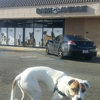Bark Avenue gallery