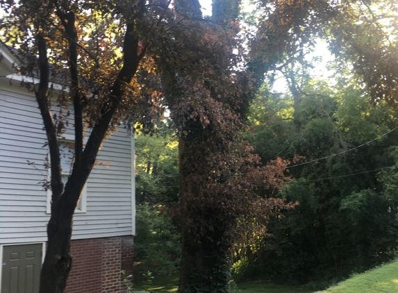 Rocky's Tree Service - Gastonia, NC
