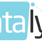 Datalyst Systems