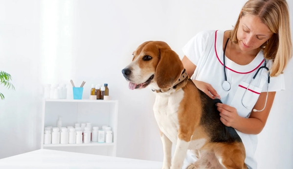 Wakeley Veterinary Hospital - Prairiewood, NSW
