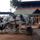 Historic Savannah Carriage - Sightseeing Tours