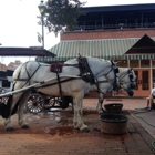 Historic Savannah Carriage