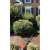 EL Lobo Landscaping And Tree Service gallery