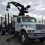 Olinda Tree Services Inc