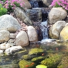 Serene Water Gardens gallery