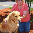Linda's Pet Sitting Services  LLC - Pet Grooming