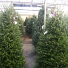 Pike Family Nurseries