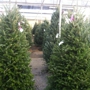 Pike Family Nurseries