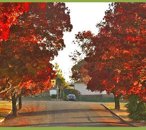 Upper Lachlan Shire Council - Gunning, NSW. Upper Lachlan Shire