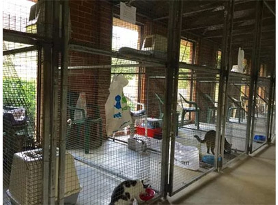 Glenhaven Boarding Cattery - Glenhaven, NSW