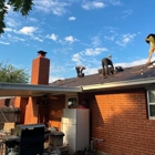 Big Dawgs Roofing & Construction
