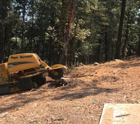 Mike's Tree Service - Napa, CA