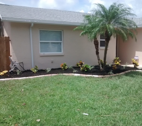 Dave's tree service - New Port Richey, FL