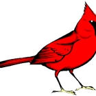 Cardinal Contractors, LLC.