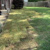 A & J Advanced Lawn Care Service gallery