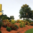 Lena KOA Holiday - Campgrounds & Recreational Vehicle Parks