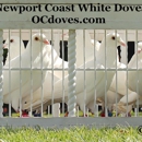 Los Angeles White Dove Release - Cemeteries