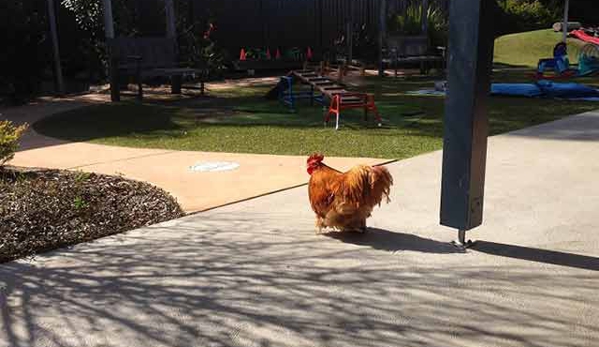 Tillys Play & Development Centre - Hunterview, NSW
