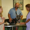 santa rosa veterinary clinic gallery