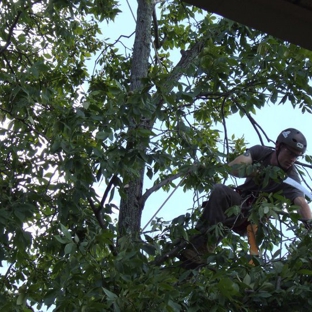 JNG Working Climber and Tree Services LLC - Ranson, WV