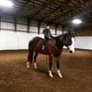 Kaizen Horse Training and Lessons - Horse Training