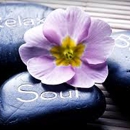 Relaxations Massage Therapy - Day Spas