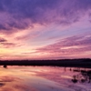 Longhorn RV Resort & Storage gallery
