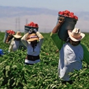 Aztec Foreign Labor - Labor Relations Consultants