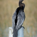 Everglades Excursions - Nature Centers