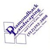 Diamondback Landscaping gallery