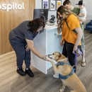 Livewell Animal Hospital of Edmond - Veterinary Clinics & Hospitals