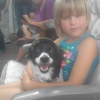 Kool Smiles gallery