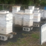 Space Coast Bee Services, Inc.