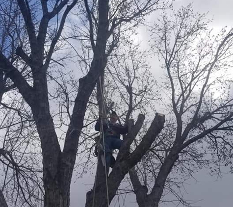 Slawson's Tree Service, Owner George Slawson - Jones, OK