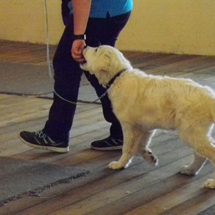 Lana's Dog Training - North Bendigo, VIC
