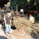 Larson Logging & Tree Service, Inc. - Tree Service