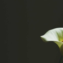 ClearPath Injury Lawyers - Attorneys