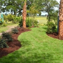 Palmetto Landscaping & Design